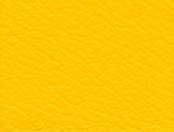 yellow color swatch